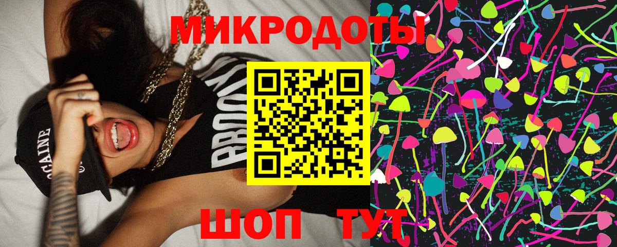 Галлюциногенные грибы GOLDEN TEACHER  Псилоцибиновые грибы GOLDEN TEACHER  Вход с VPN  Ачхой-Мартан 
