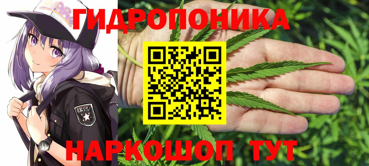 Бошки марихуана тримм Ачхой-Мартан